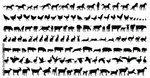 Big set of silhouettes of farm animals.