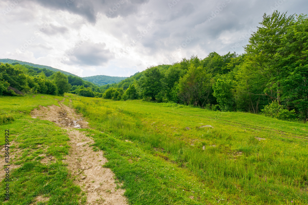 dirt road through forested countryside. offroad path. beautiful summer rural landscape in mountains. adventure in nature scenery before the storm. dark sky