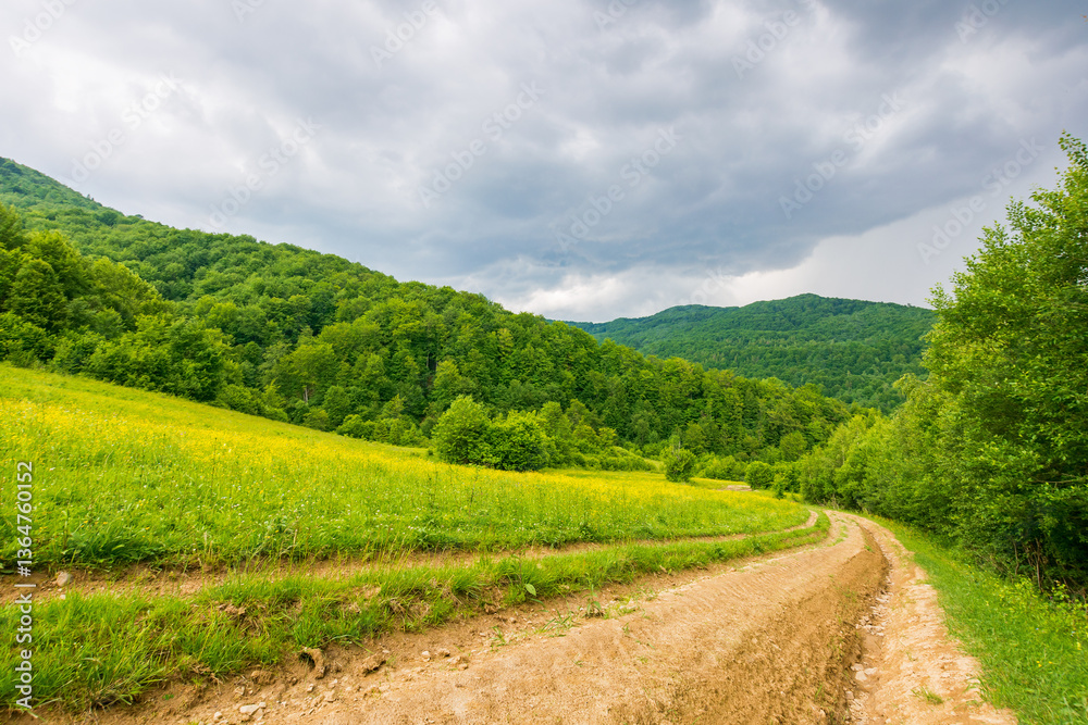 dirt road through forested countryside. deciduous trees. beautiful summer rural landscape in mountains. adventure in nature scenery before the storm. dry mud trail