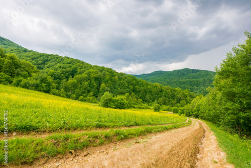 Obraz na płótnie dirt road through forested countryside. deciduous trees. beautiful summer rural landscape in mountains. adventure in nature scenery before the storm. dry mud trail w salonie