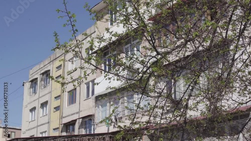 Early Spring in the City – Budding Trees and Urban Landscape