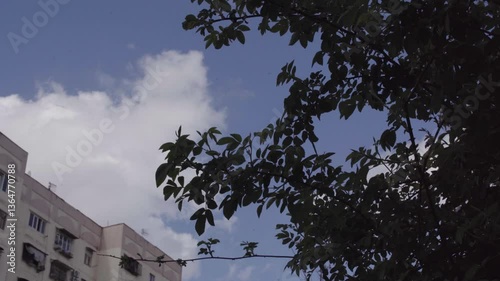 Spring Blossoms – Nature Flourishes in the City