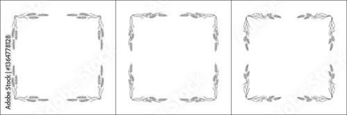 Set of three elegant black and white ornamental frame with cereal spikelets, wheat ears, decorative border. Isolated vector illustration.	

