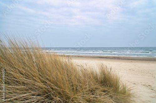 Fototapeta Naklejka Na Ścianę i Meble -  View over the dunes on the island of Usedom to the Baltic Sea. Dune grass, sand