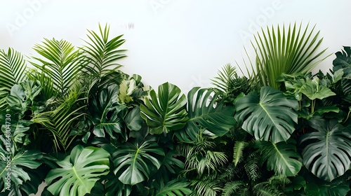 Frame of Vibrant Green Tropical Leaves on a Soft Background.