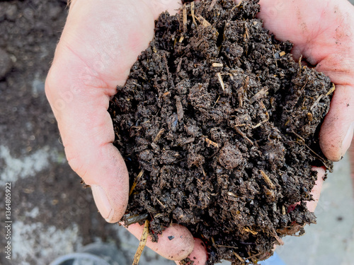Close up of two hands full of fermented black soil for carbon farming. Peat free substrate.