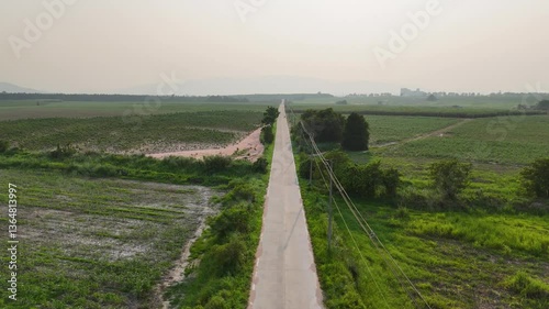 Tranquil Road Through Lush Greenery Serene Landscape of Fields and Horizon Inviting Outdoor Exploration in Rural Natures Embrace