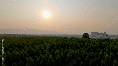 Serene Aerial View of Lush Greenery and Trees Along Highway, Framed by Majestic Mountains and Soft Sunset, Capturing Tranquility of Natures Beauty.