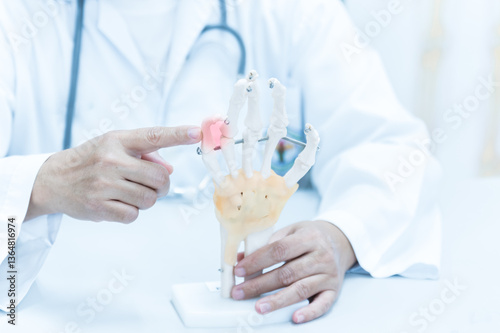 Orthopedist explain to the patient for human hand and fingers bone injury treatment program.Doctor showing to finger bones anatomy to gout patient.Physiotherapy present hand model for injured athlete.