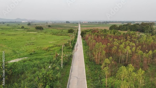 Serene rural landscape with long, straight road surrounded by lush greenery and fields, evoking tranquility and sense of openness for nature lovers exploring outdoor horizon.