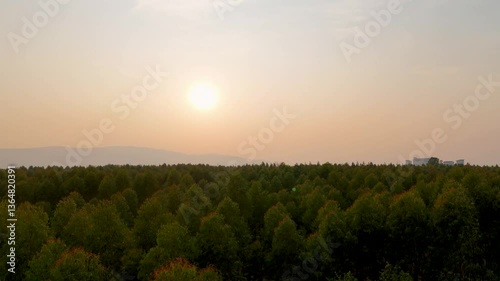 Aerial Sunset Over Lush Green Forest Tranquil Landscape of Natures Beauty with Trees, Sunlight, and Peaceful Horizon.