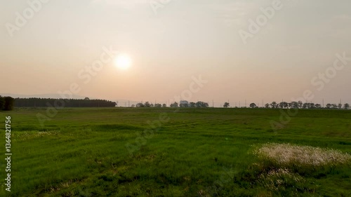 Serene landscape of vast green field under soft sunset, where warm glow illuminates horizon, creating peaceful atmosphere that evokes tranquility in nature.
