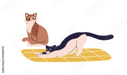 Pair of adorable fluffy cats relaxes. Cute happy kitty sits, watching its furry friend. Amusing sleepy kitten stretching on pet bed, cushion. Flat isolated vector illustration on white background