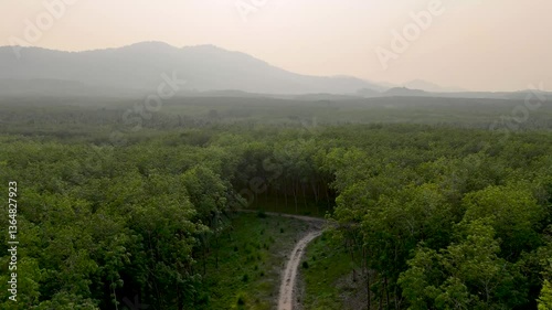Serene Wilderness Scenic Journey Through Lush Greenery, Tranquil Forests, and Majestic Mountains Under Hazy Skies, Embracing Natures Beauty.