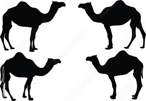Black Silhouette Collection of Camels in Various Poses