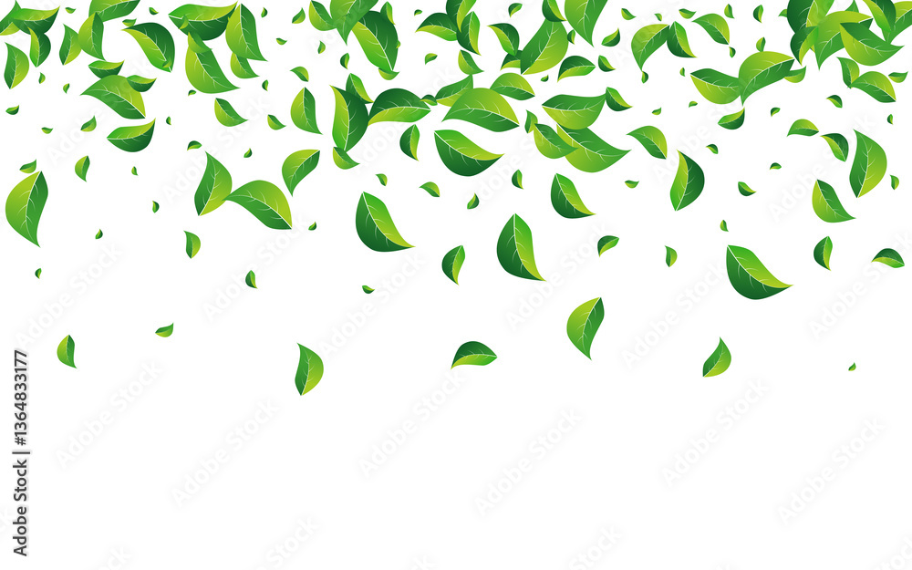 Green Greens Realistic Vector White Background. Green Greens Realistic Vector White Background.