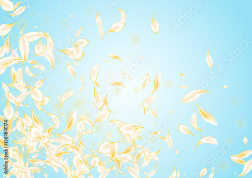 Beige Flower Fall Vector Blue Background. Light