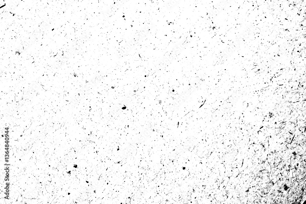 Obraz premium Abstract grunge black and white distressed texture background