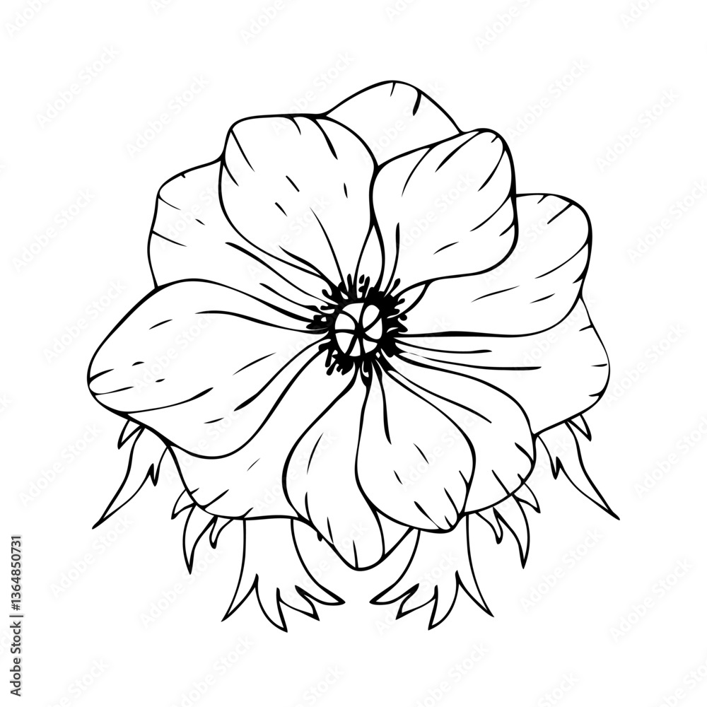 Fototapeta premium Hand drawn anemone. Line art vector illustration