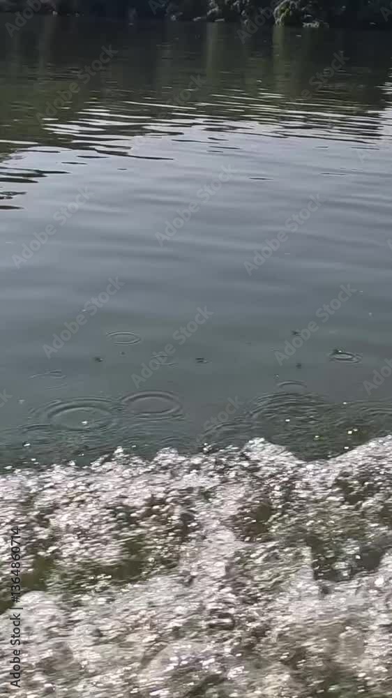 Rhythmic Water Ripples and Splashes Rhythmic Water Ripples and Splashes