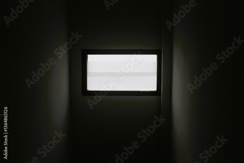 light in the darkness