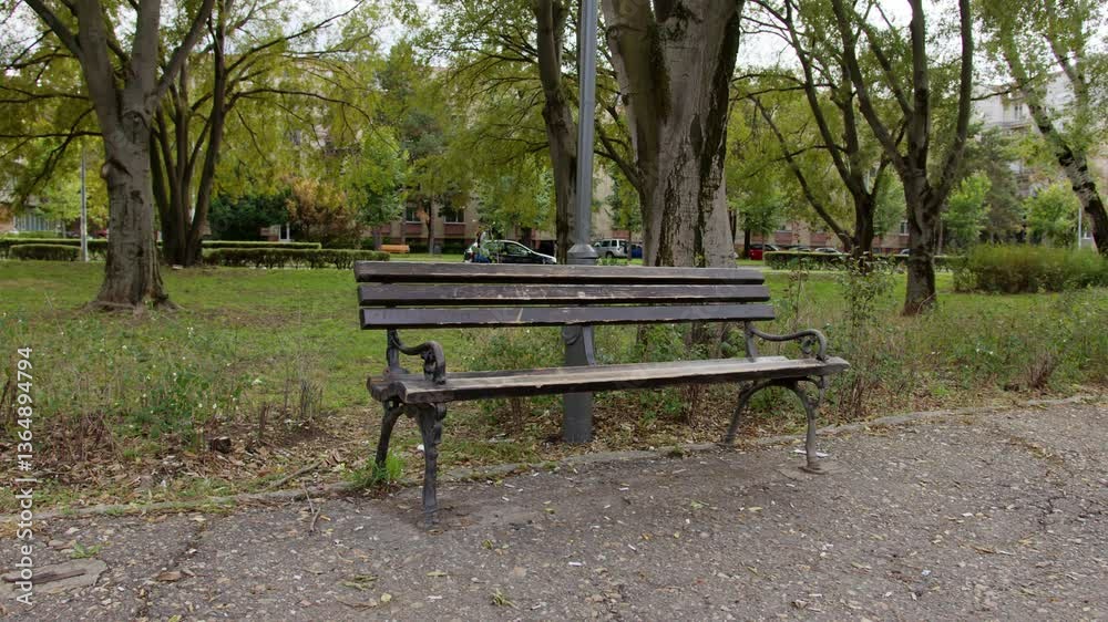 Empty park bench in a tranquil green space surrounded by trees and quiet pathways Empty park bench in a tranquil green space surrounded by trees and quiet pathways