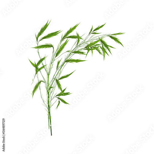 Vibrant green bamboo leaves gracefully swaying in the wind against a clean white backdrop A soothing and natural image