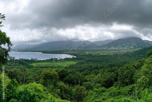 Lush Hawaiian Valley Under Cloudy Sky photo