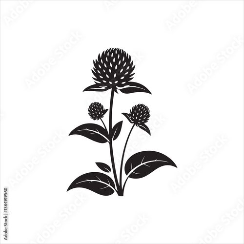 Globe Amaranth Benefits: From Garden Beauty to Herbal Uses