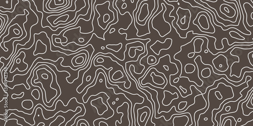 Abstract modern difficult soft brown and white topographic wavy stylized map doted line contour topography terrain path concept stroke vector illustration topo background. 