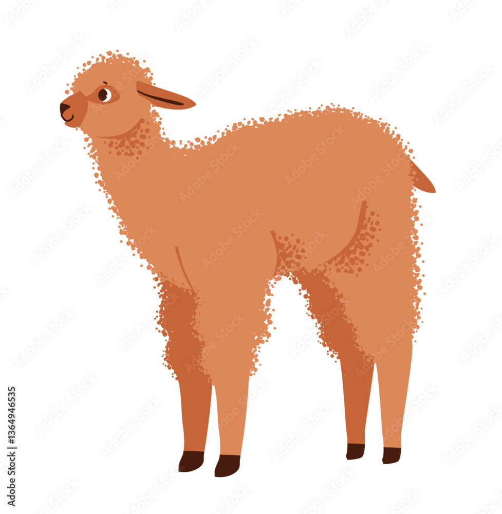 Fototapeta premium Alpaca isolated on white background, with fluffy wool and a playful expression. Domestic herd animal. Flat vector illustration.