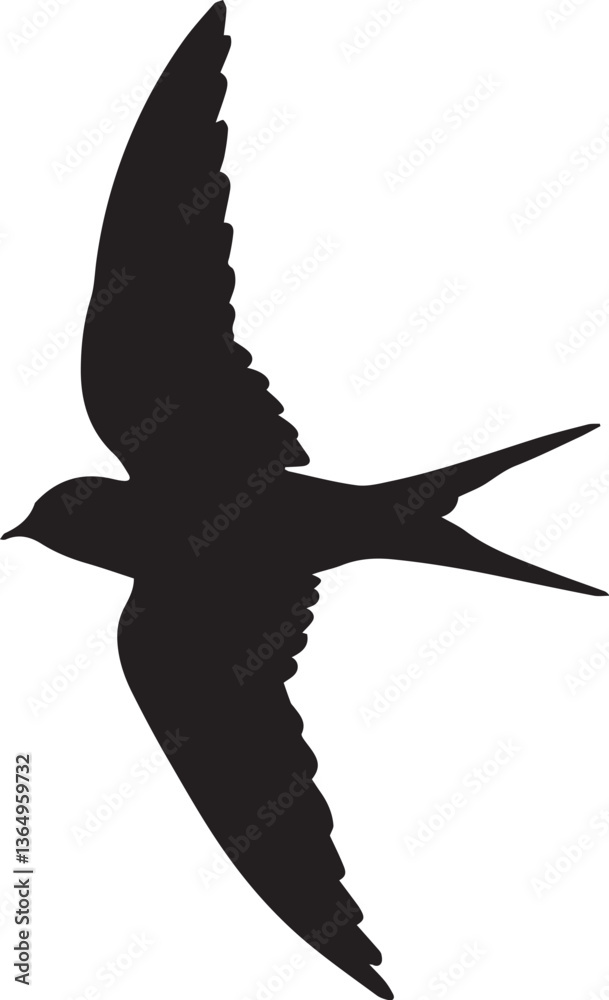 Fototapeta premium Bird in Flight Silhouette on White Background