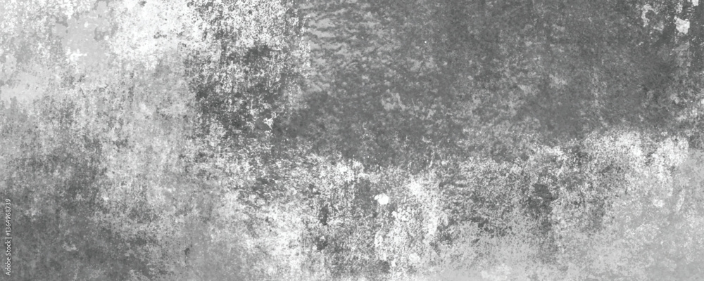 Obraz premium The Subtle Beauty of a Monochrome, Aged, and Scratched Surface with Natural Variations