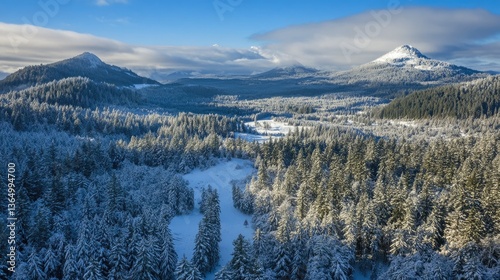 Aerial Winter Landscape of Oregon Coast Range Forest Covered in Snow
