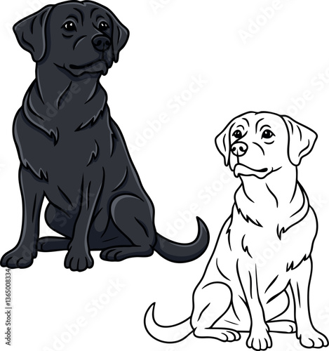 Labrador retriever vector