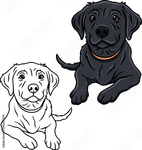 Labrador retriever vector