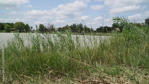 Enjoying a peaceful day by the river under a clear sky with gentle breezes and swaying grass while observing nature's beauty