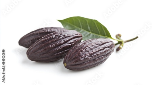 Wallpaper Mural plantaÃ§Ã£o de cacau cacauicultura Torontodigital.ca