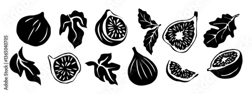 Hand drawn abstract fig fruits silhouettes. Collection of whole and cut figs, leaves vector black illustrations isolated on white background. Fresh juicy fruits hand drawn clip art.