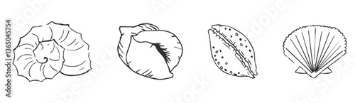 Sea shell sketch ocean life hand drawn illustration. Outline modern style, summer, vacation, beach design elements. Coral and seaweed, starfish line. 