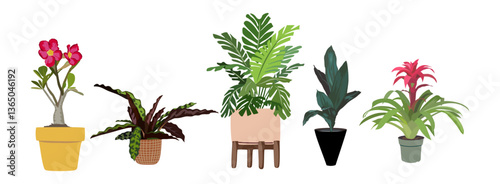 Set of different house plants. Potted flowers for landscape, architectural, interior design. Monstera, aspidistra, bromeliad, bottle tree Vector colorful illustrations isolated 