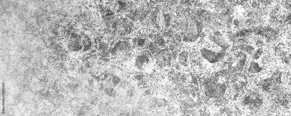 Fototapeta premium The Subtle and Moody Beauty of an Aged and Weathered Concrete Surface