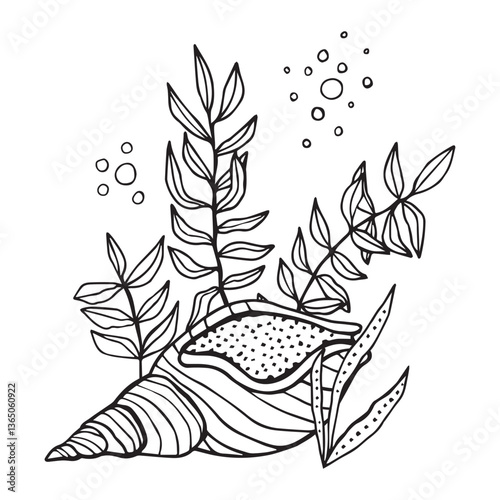 Seashell algae air bubbles black and white illustration for coloring book pages