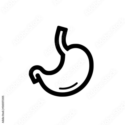 Illustration of the human stomach a digestive organ vital for breaking down food and absorbing nutrients outlined in on a