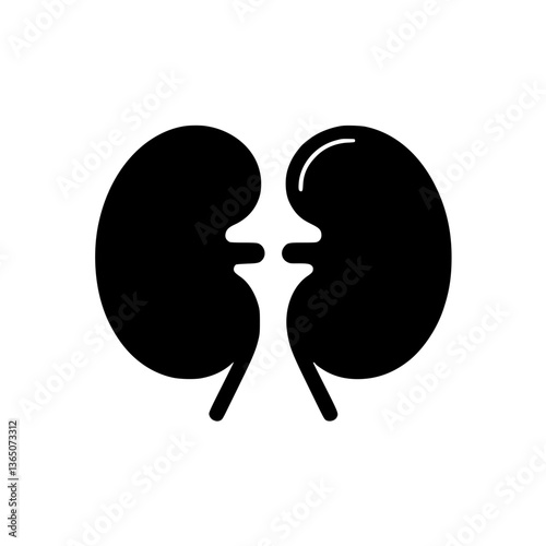 A simplified and vector illustration of the human kidneys on a The illustration is clean and symmetrical