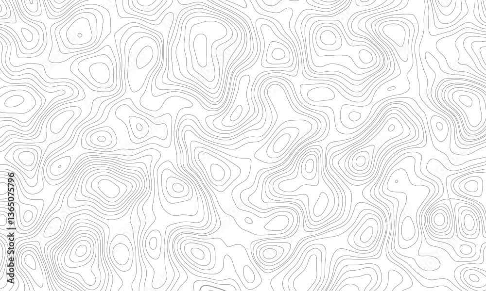 Topography background. Vector banner. Topography background. Vector geographic contour map. Topographic map background geographic line map with elevation assignments. 