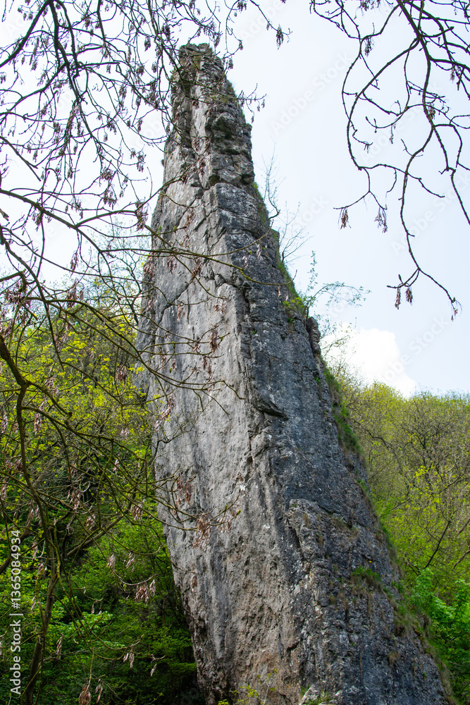 Fototapeta premium Exploring the landscapes and forests in the Dovedale valley in the Peak District of England.