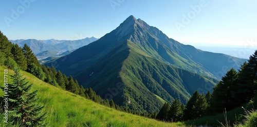 Lush greenery surrounds the towering peak of Figueroa Mountain in Los Padres National Forest,  travel,  nature