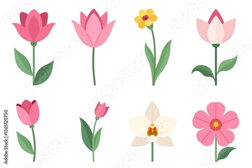 Set of flat icons featuring various garden flowers like rose, tulip, orchid, and Espatifilo isolated on white background,  orchid,  Espatifilo