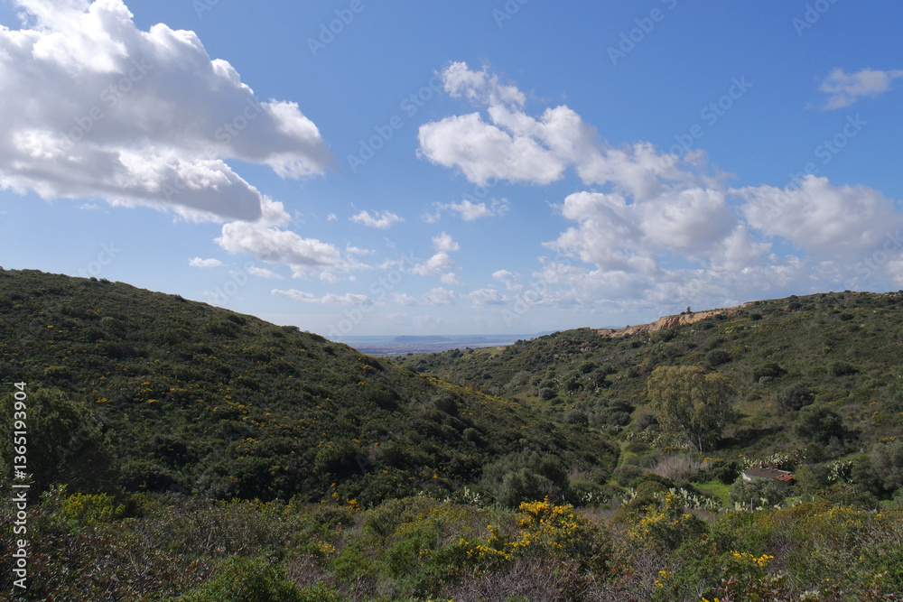 Obraz premium Natura